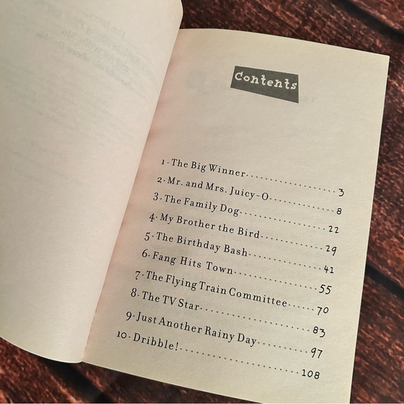 📚 Short Chapter Book Bundle (4) - Picture 11 of 13